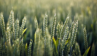 便宜的代充平台求的ddos压力测试网页端