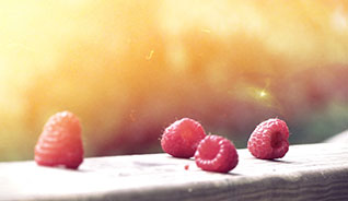 【软件评测报告】深度体验的网站攻击软件工具